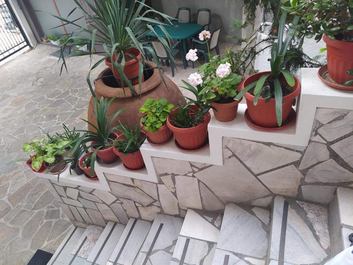 Каламанди أسينوفغراد المظهر الخارجي الصورة